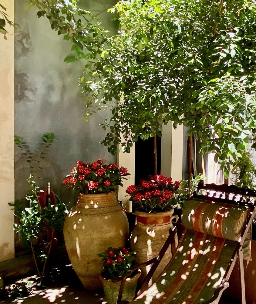 Cortile Capuana - Bed & Shop-3