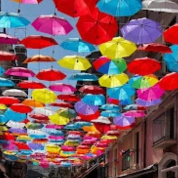 Federico Salvatore Diego Scuderi