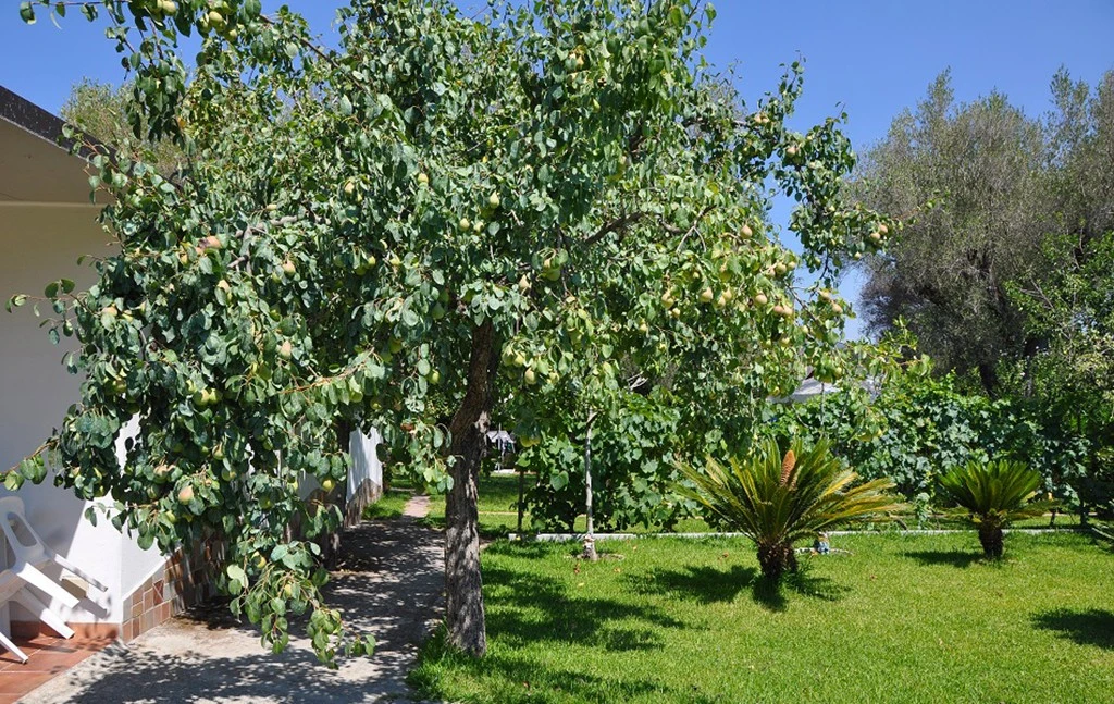 B&b Marcella-4