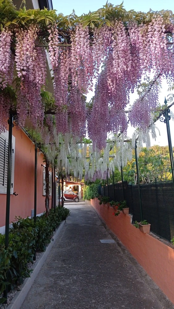 Casa Vacanze Mimose-2