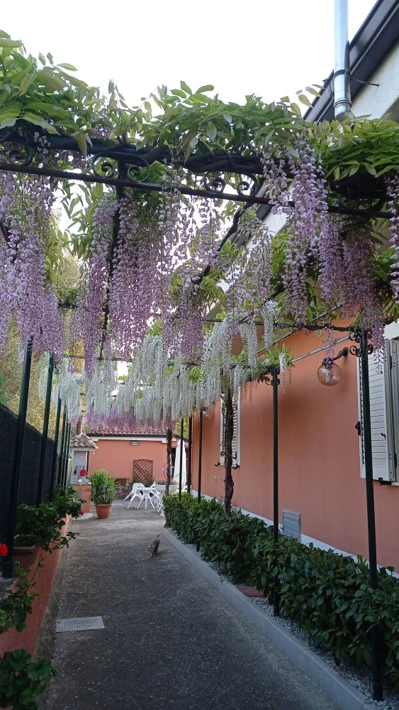 Casa Vacanze Mimose-4