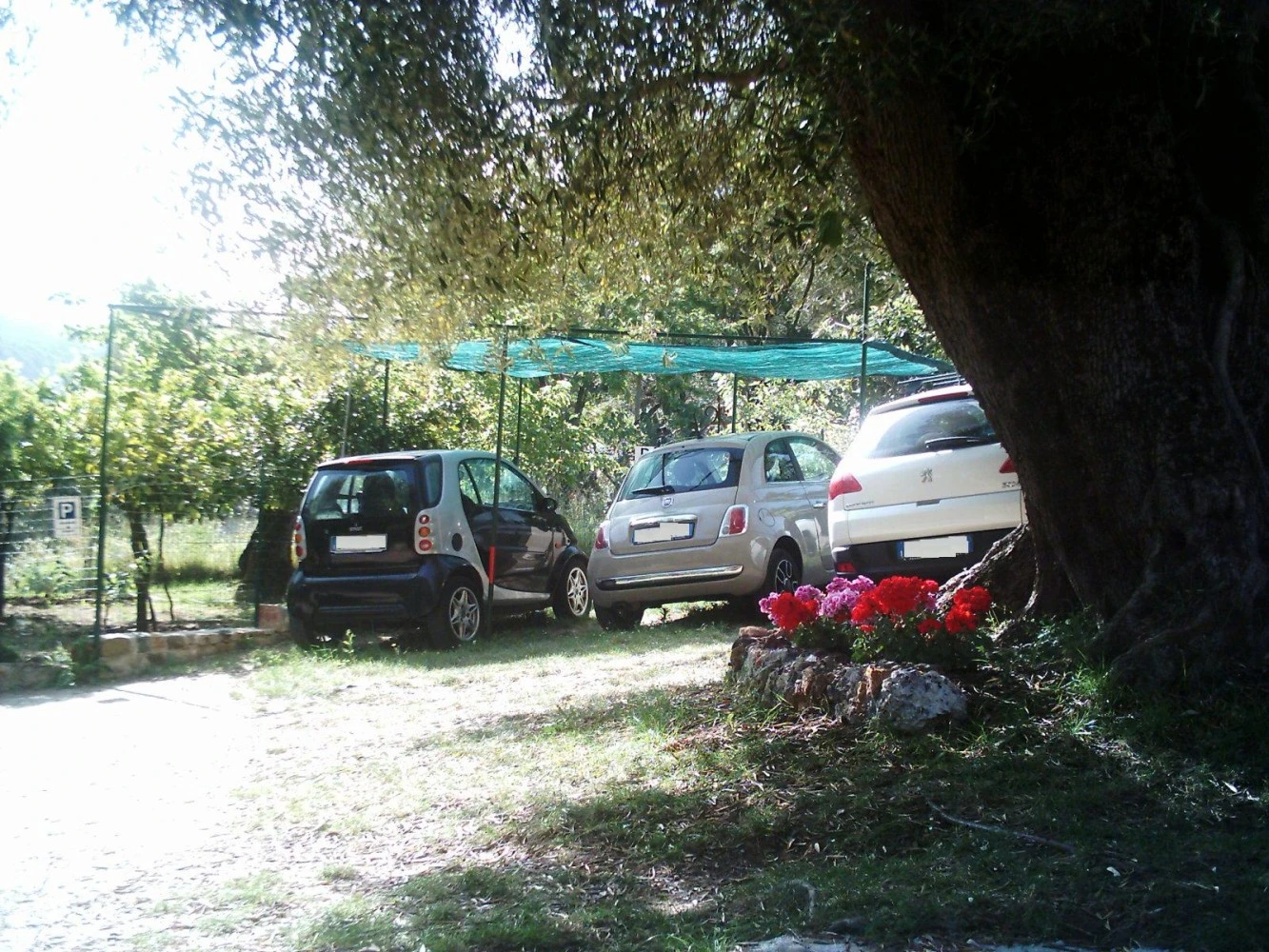 B&b Il Vecchio Gelso-5
