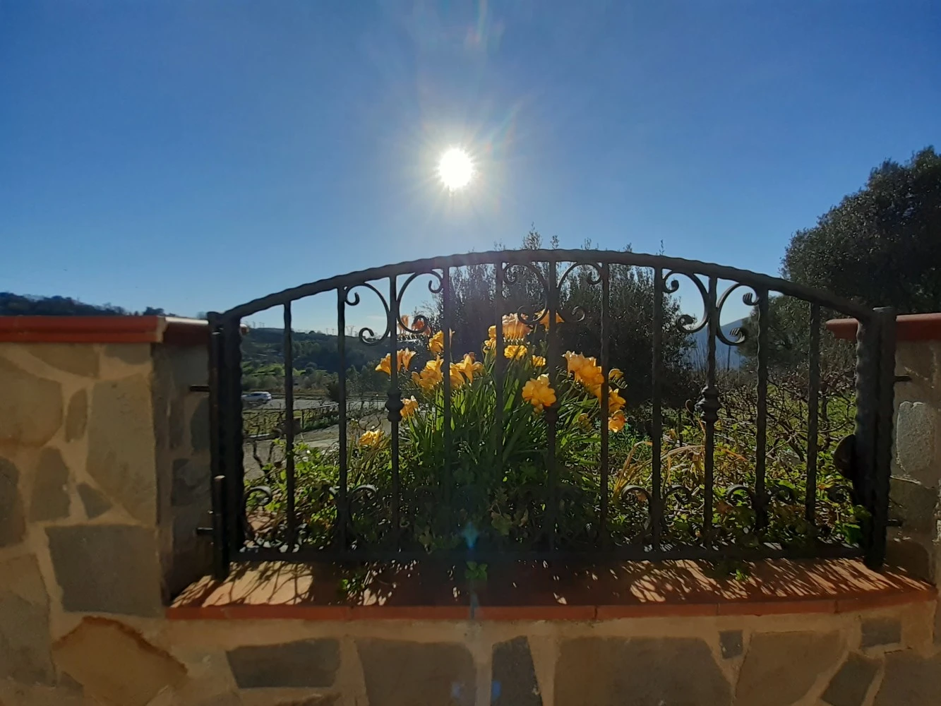 Bed And Breakfast Le Ginestre-2