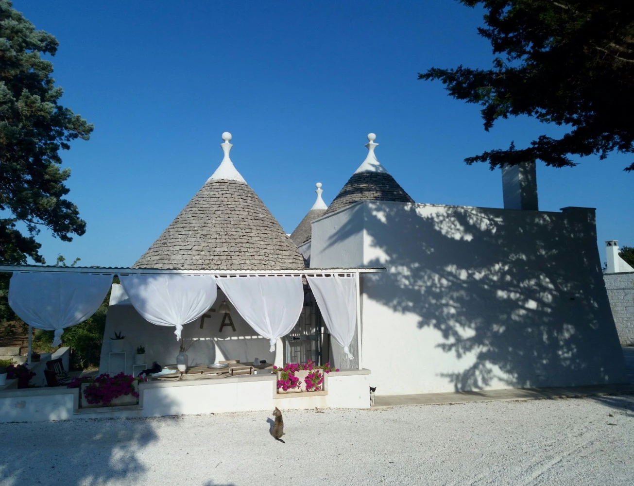 Studio Aria Nel Trullo La Gatta Felice-1