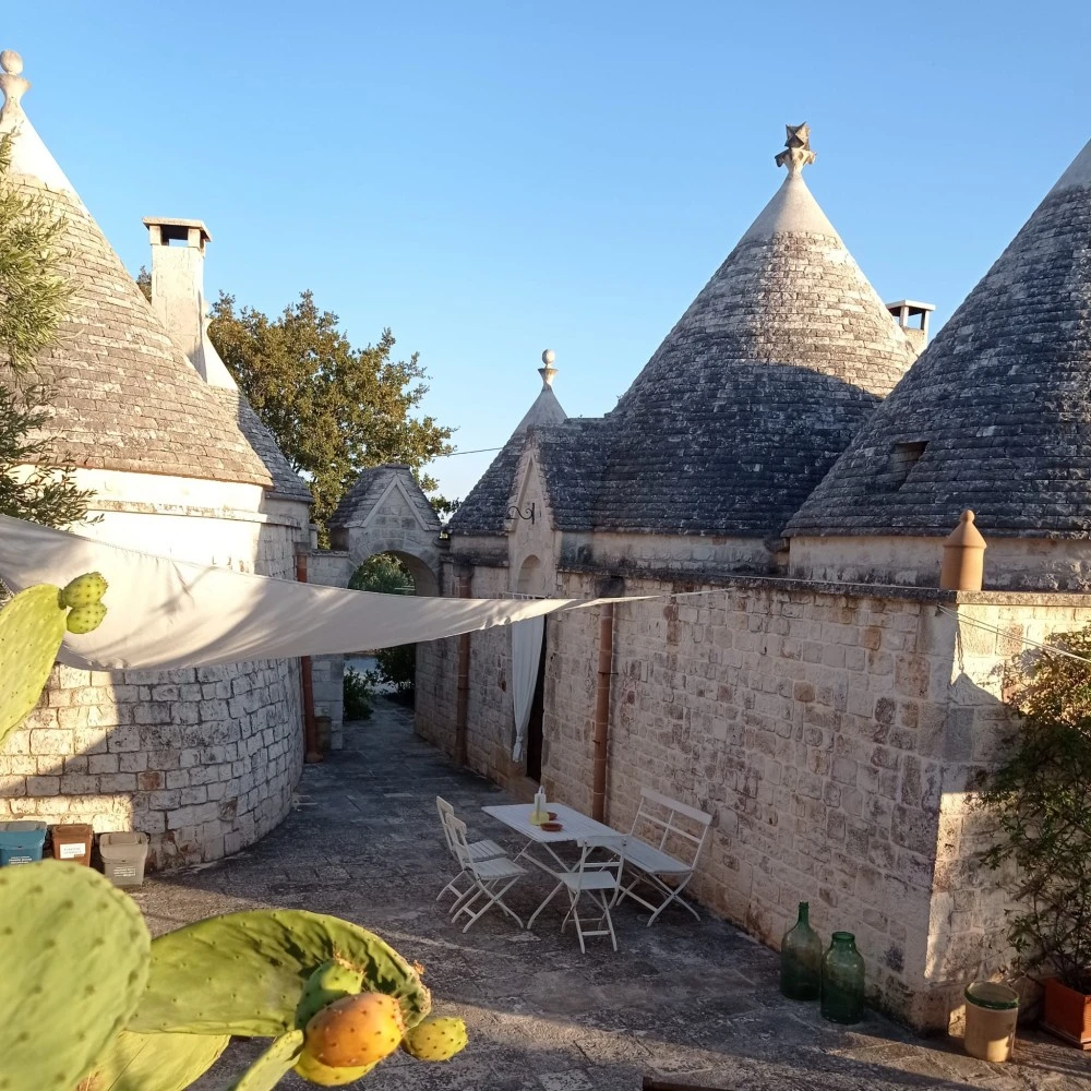 La Vita A Cono - Trullo Ulivo-3