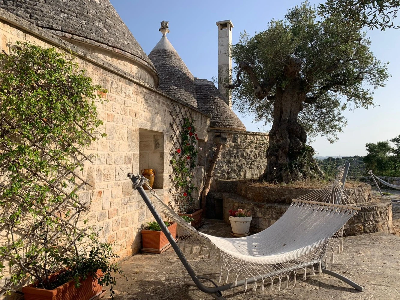 La Vita A Cono - Trullo Ulivo-5