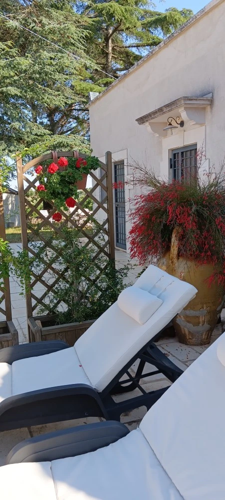 Trulli In Valle D'itria-1