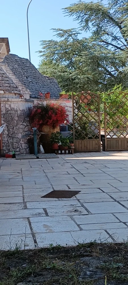 Trulli In Valle D'itria-2