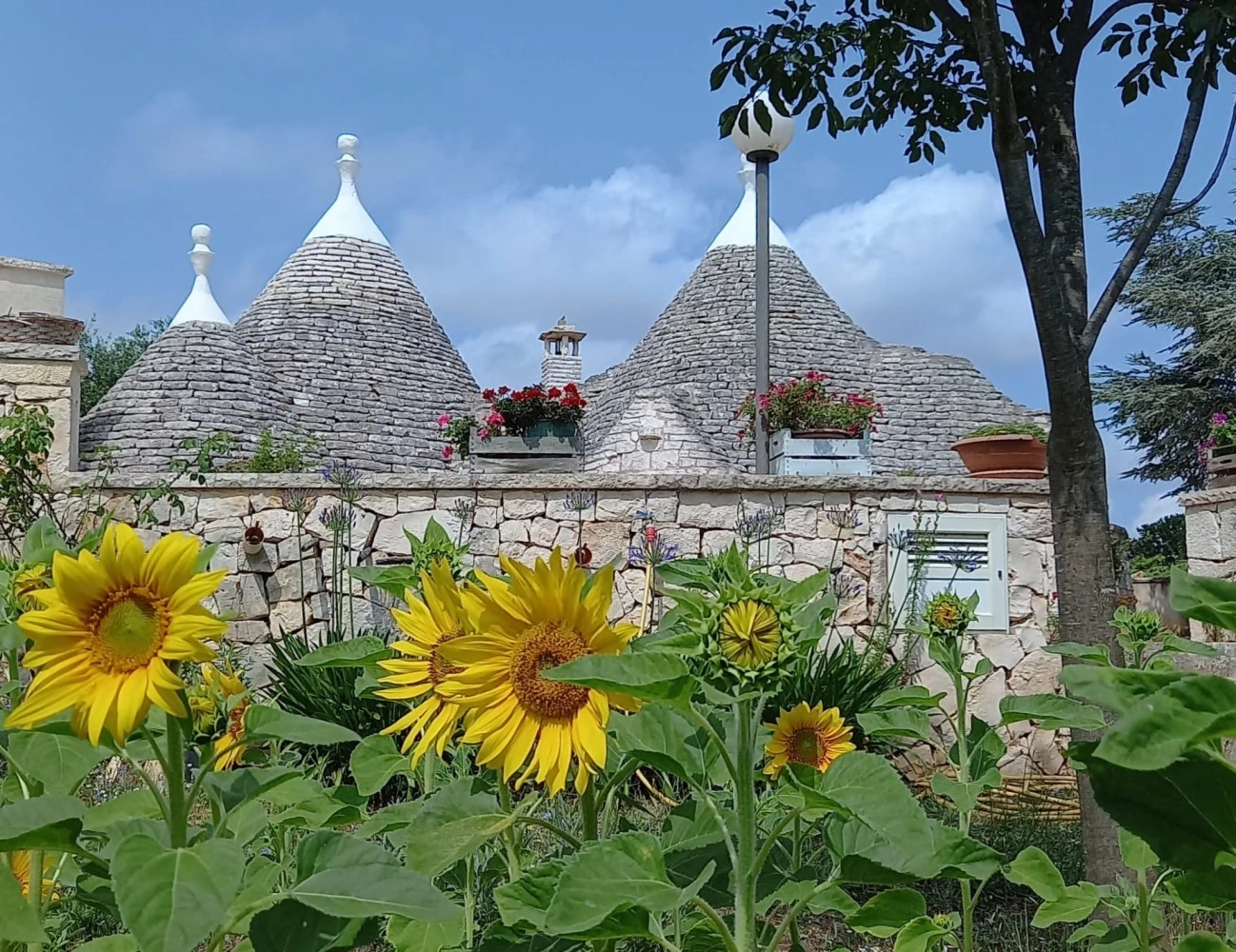 Trulli In Valle D'itria-5