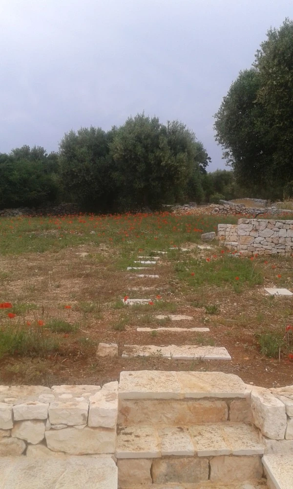 Trullo Alto Salento-3