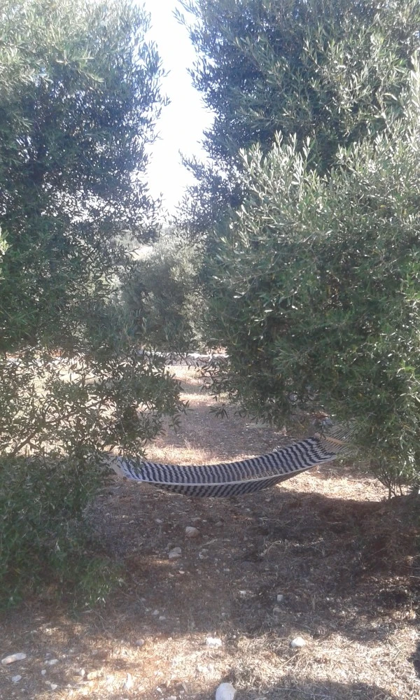 Trullo Alto Salento-4
