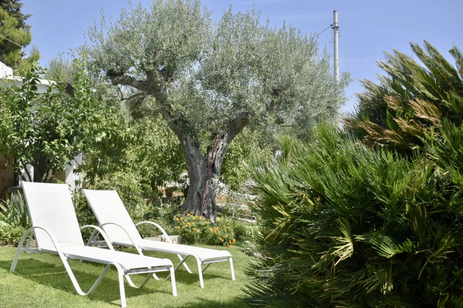 Trulli Shanti-4
