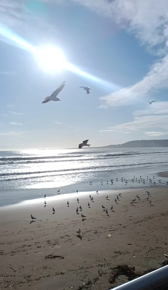 Le Casette Del Mare-2