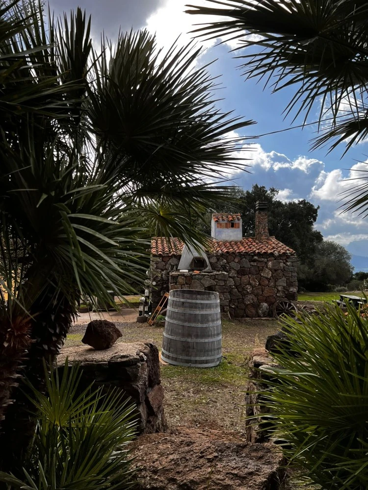 Agriturismo Conca E Janas-2