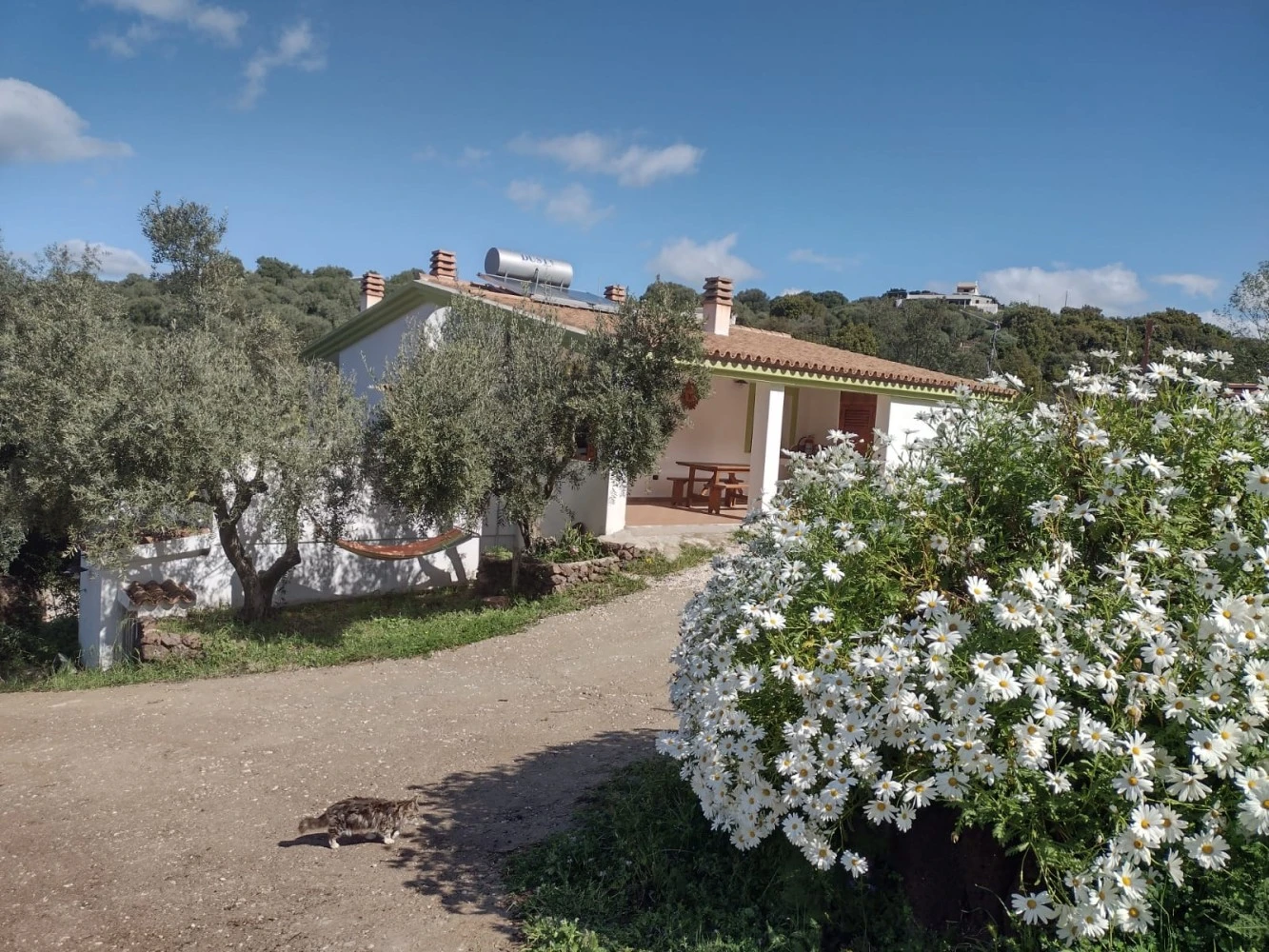 La Casa Nella Vigna-2
