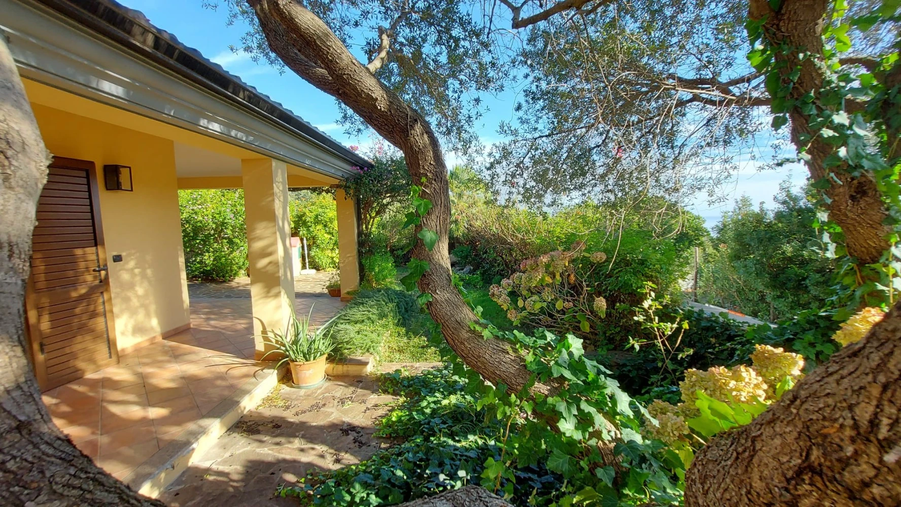 La Casa Delle Bouganville - Piano Terra-5