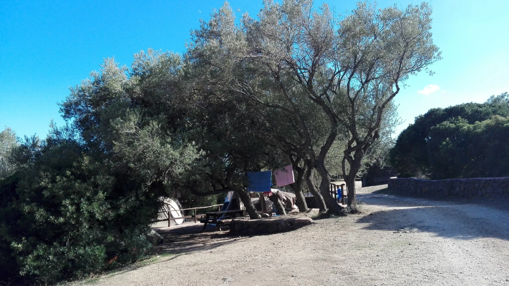 Agriturismo Nuraghe Mannu-2