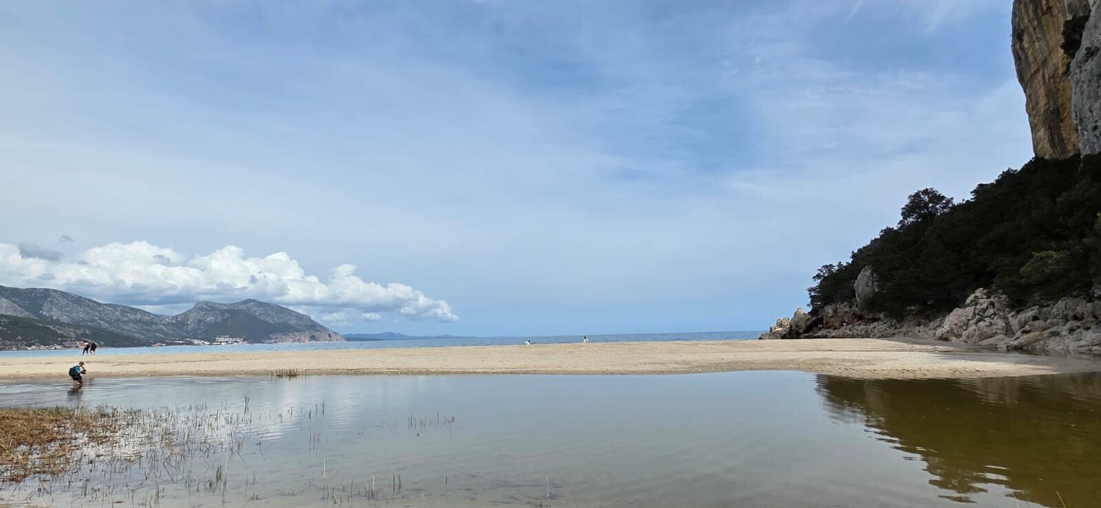 pagamento imposta di soggiorno 2026