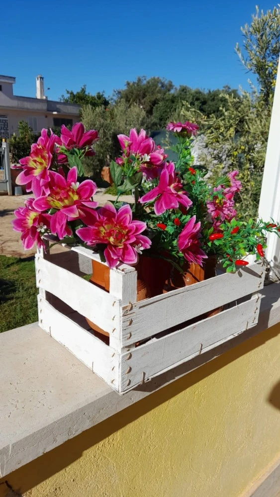 La Casa Di Marta-1 