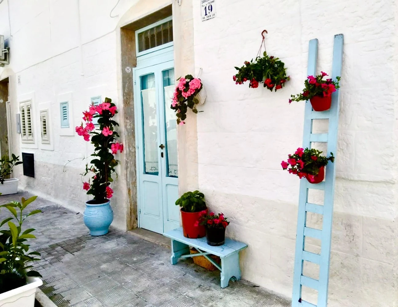 Stella Marina-1
