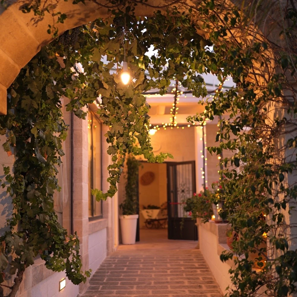 Masseria Monte-3