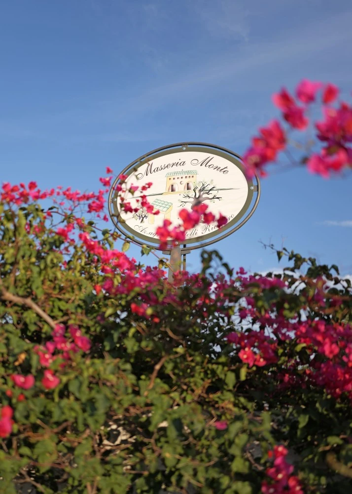 Masseria Monte-4