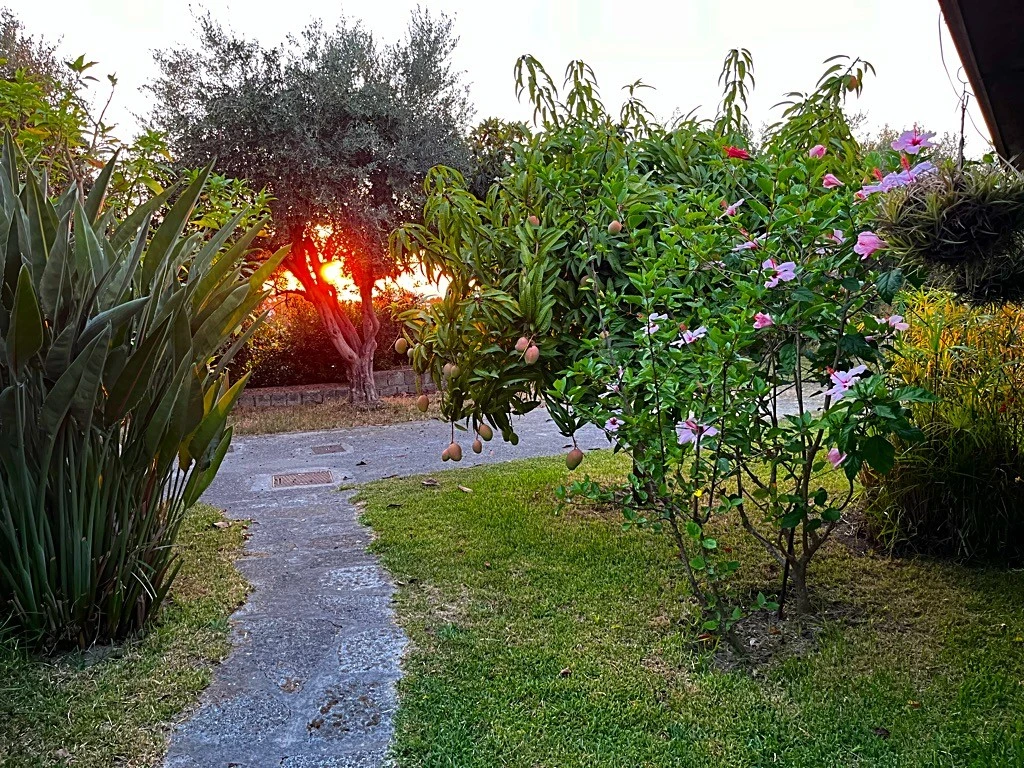 Tra Il Verde E Il Mare-3