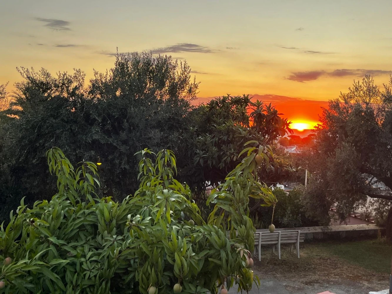 Tra Il Verde E Il Mare-4