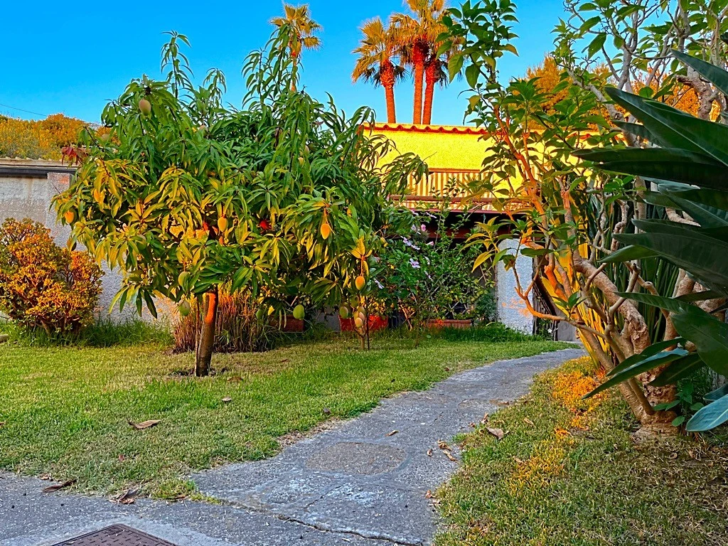 Tra Il Verde E Il Mare-1