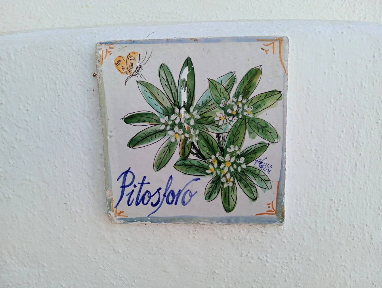 Casa Vacanze Pitosforo-3