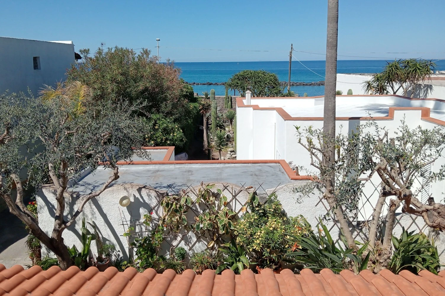 Casa Vacanze Pitosforo-5
