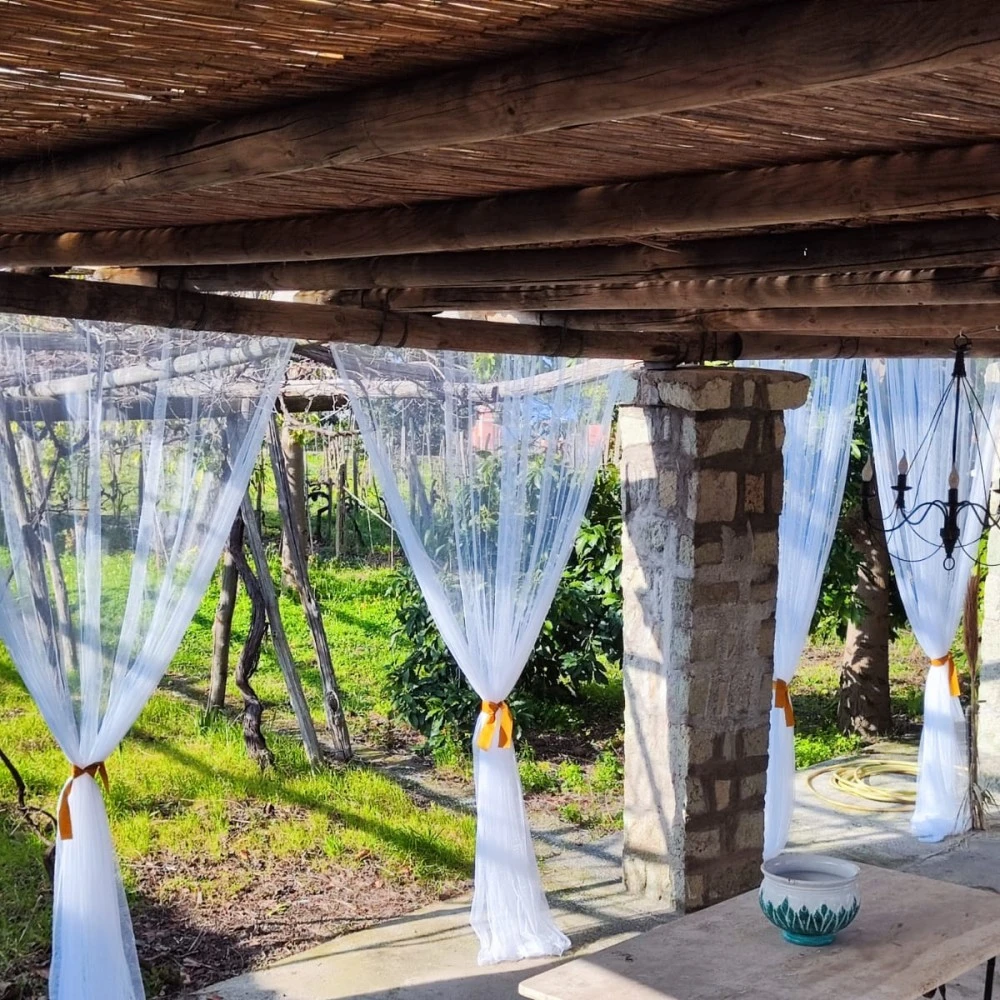 Il Vitigno Di Dioniso-1