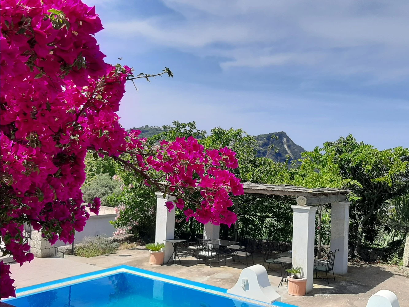 Il Vitigno Di Dioniso-2