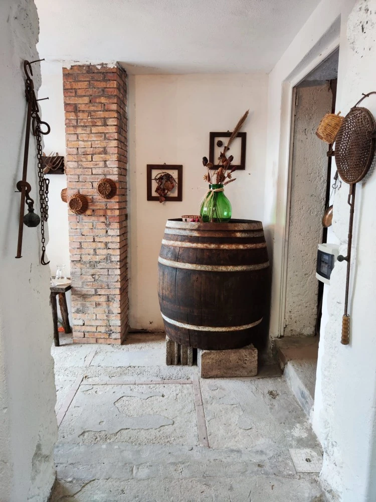 Il Vitigno Di Dioniso-5