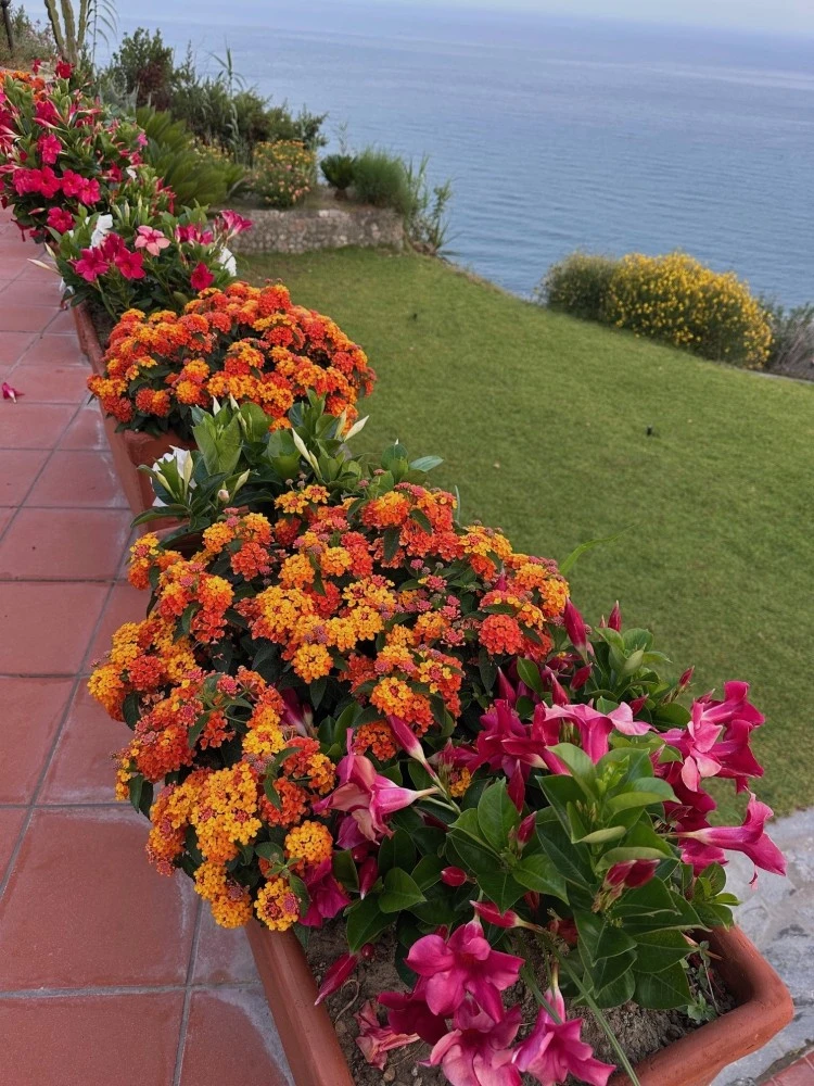 Villa La Dimora Di Zoè-1