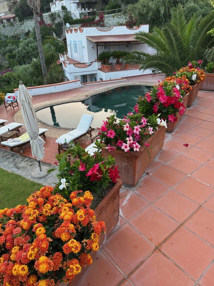 Villa La Dimora Di Zoè-3