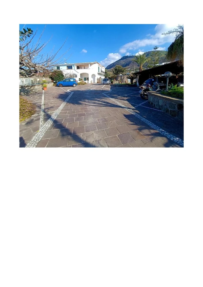 Bouganville-1