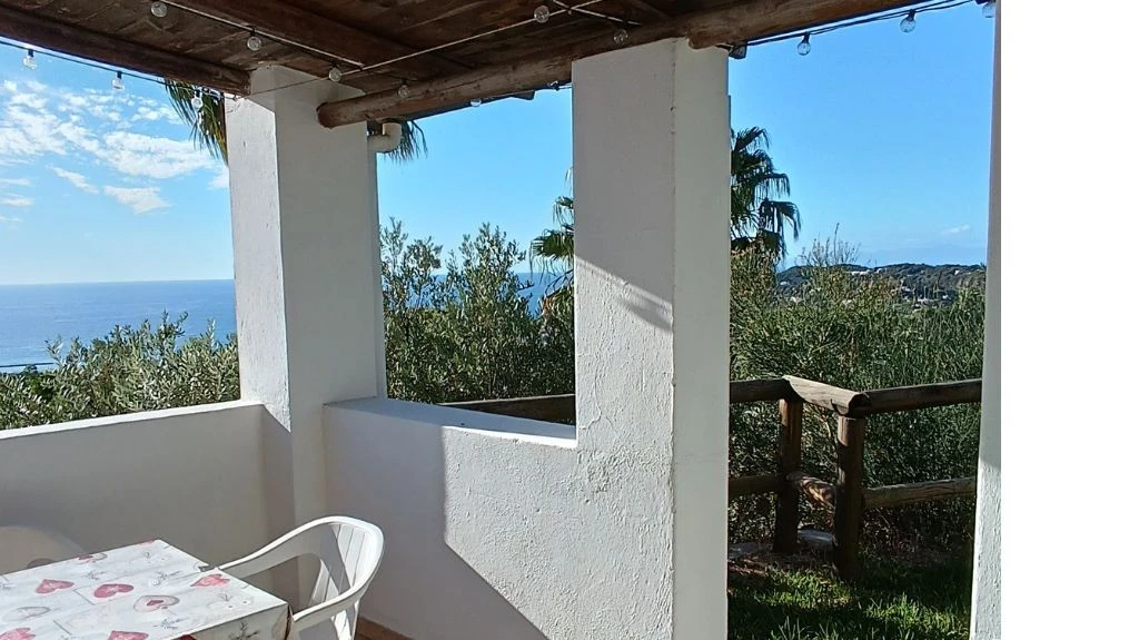 L'ulivo/il Rosmarino-2