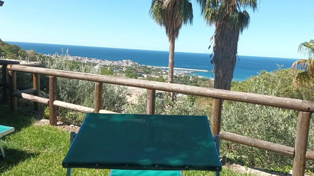 L'ulivo/il Rosmarino-3