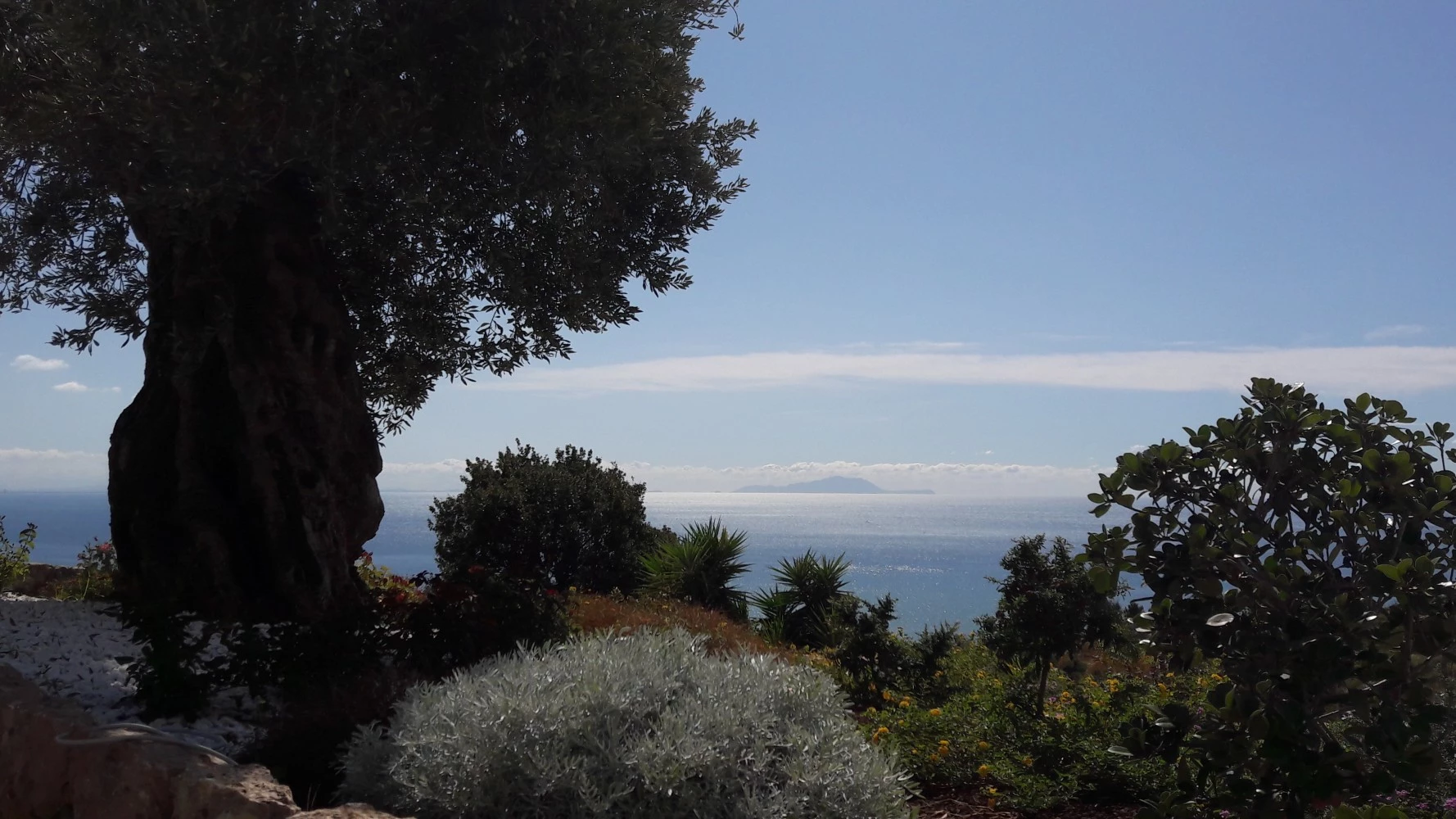 Villa Treglia B&b-4