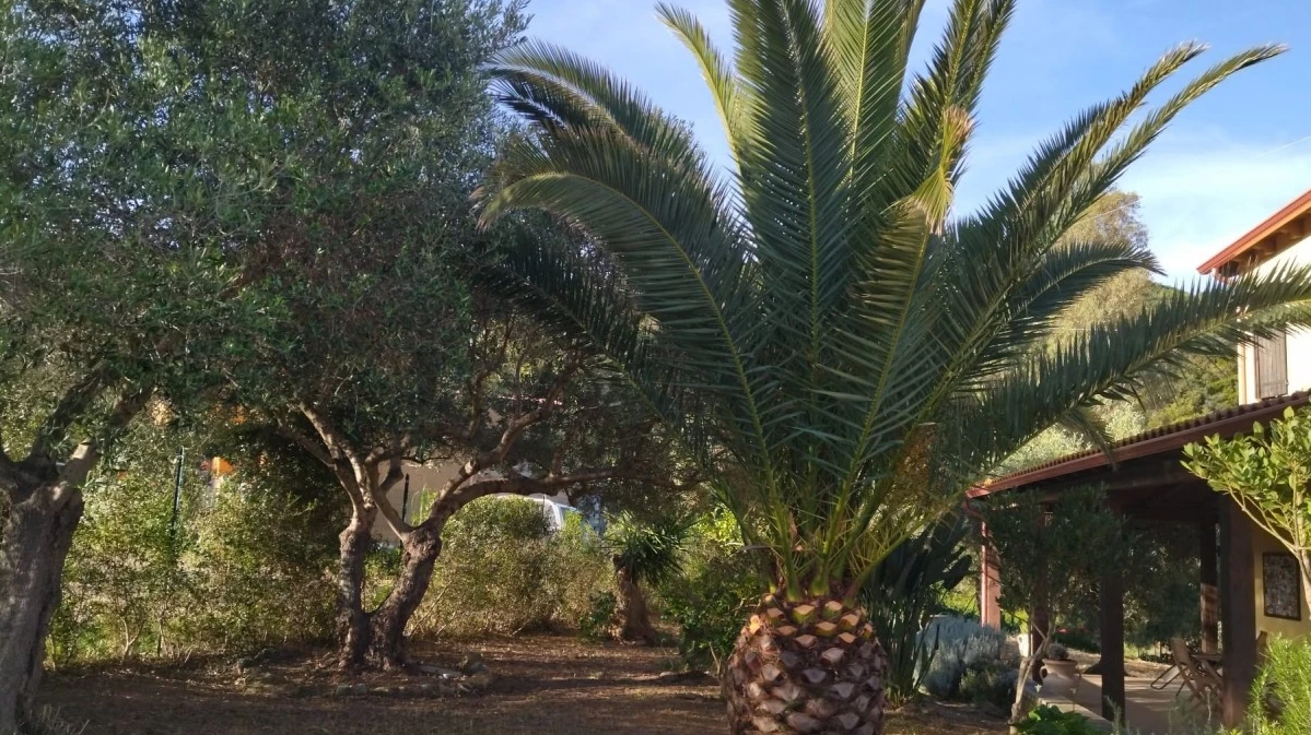 Bnb Rio Da Antonella-5