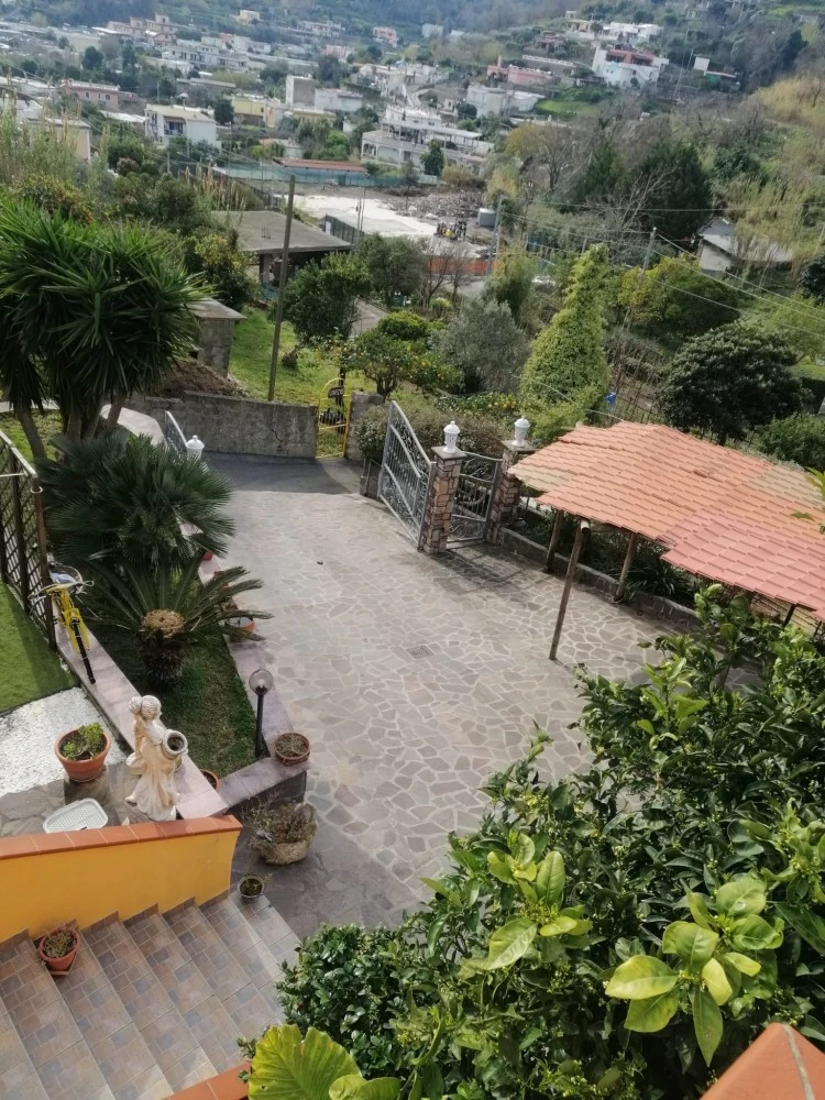 Mario's House-5