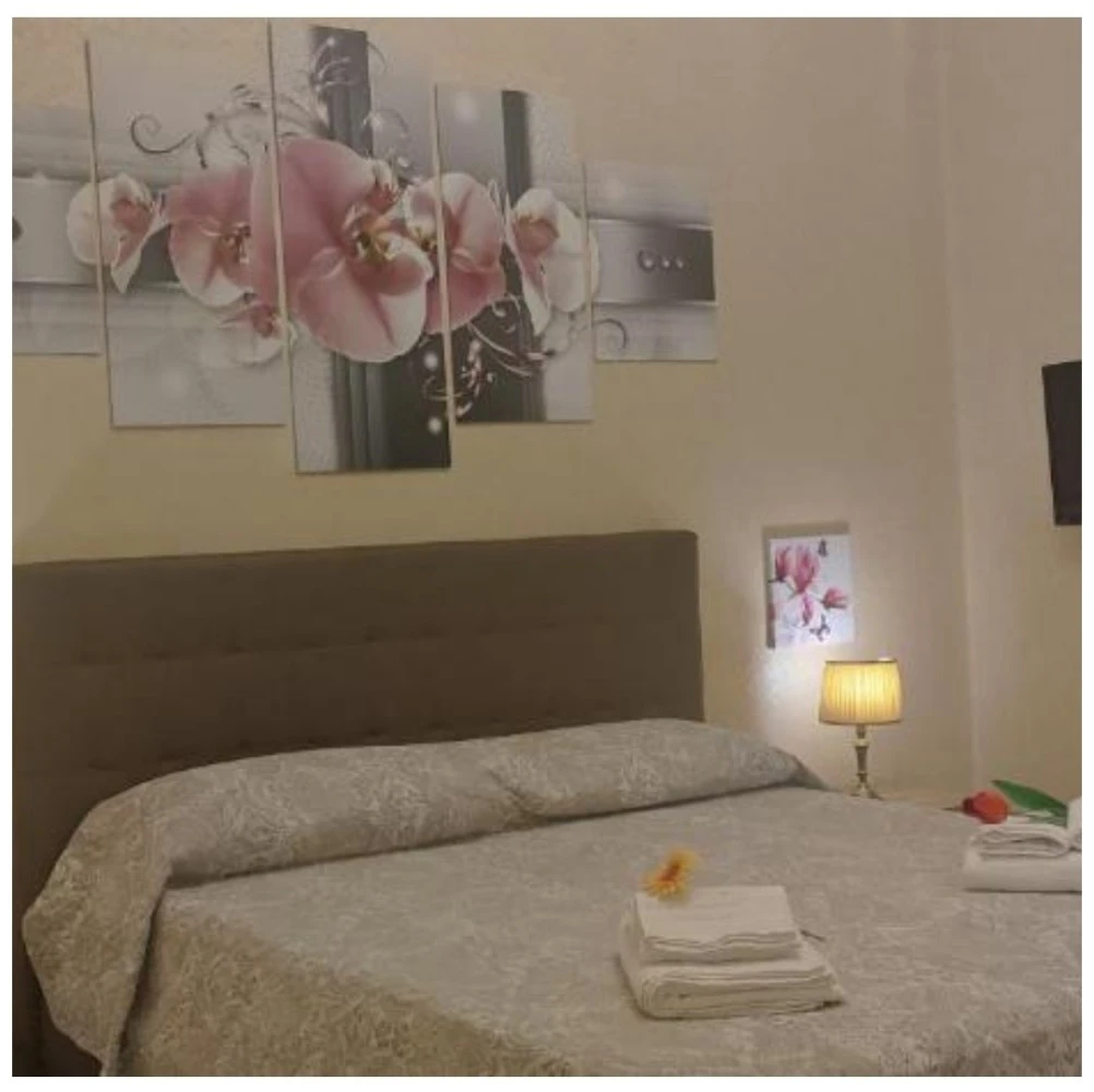 Casa Vacanze Puccini-1
