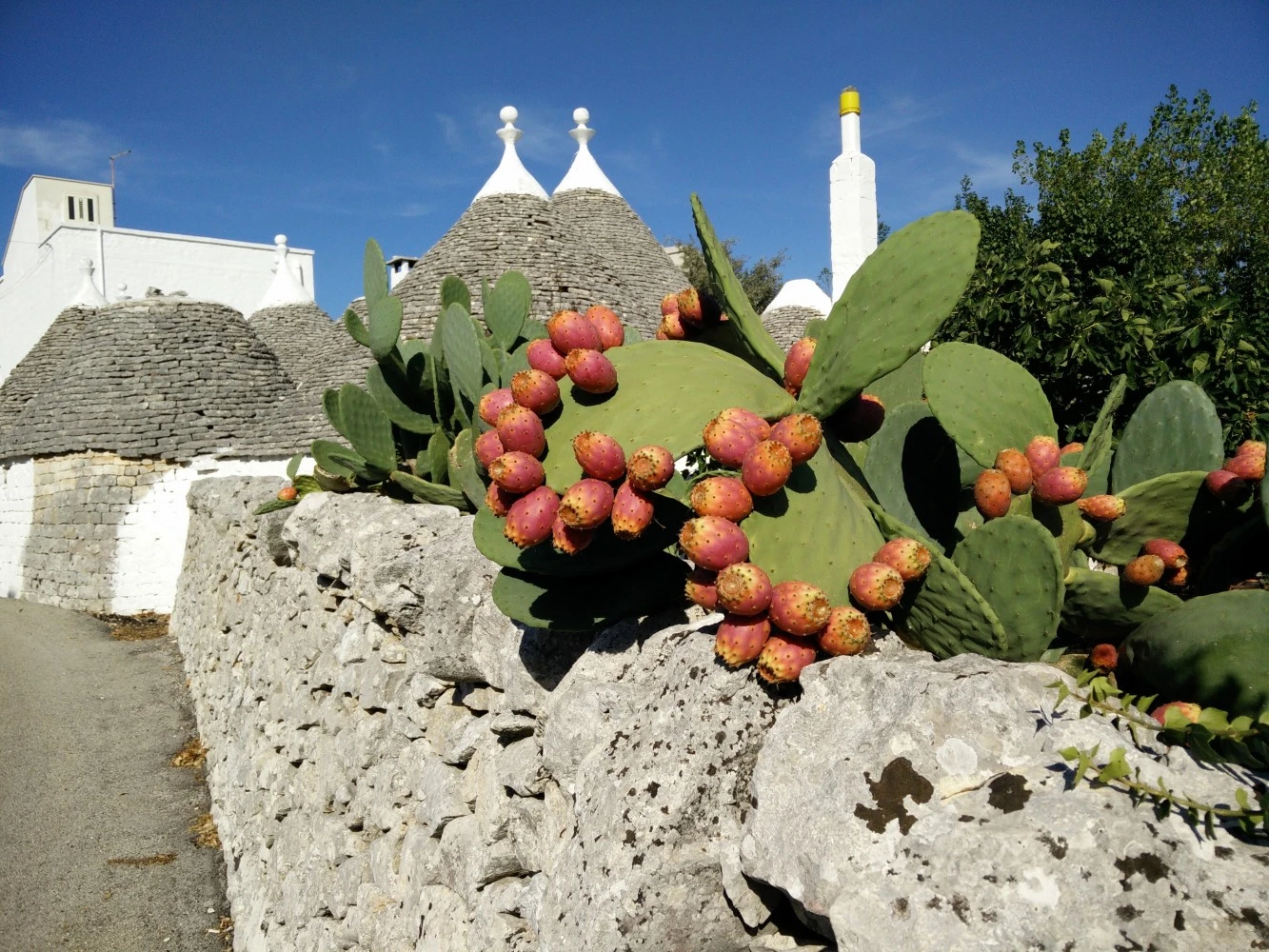 B&b La Collinetta-3