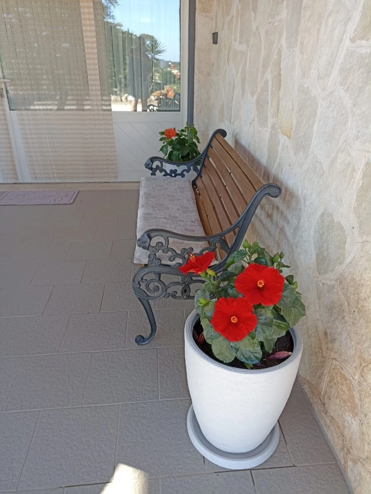A Casa Di Elisa-3