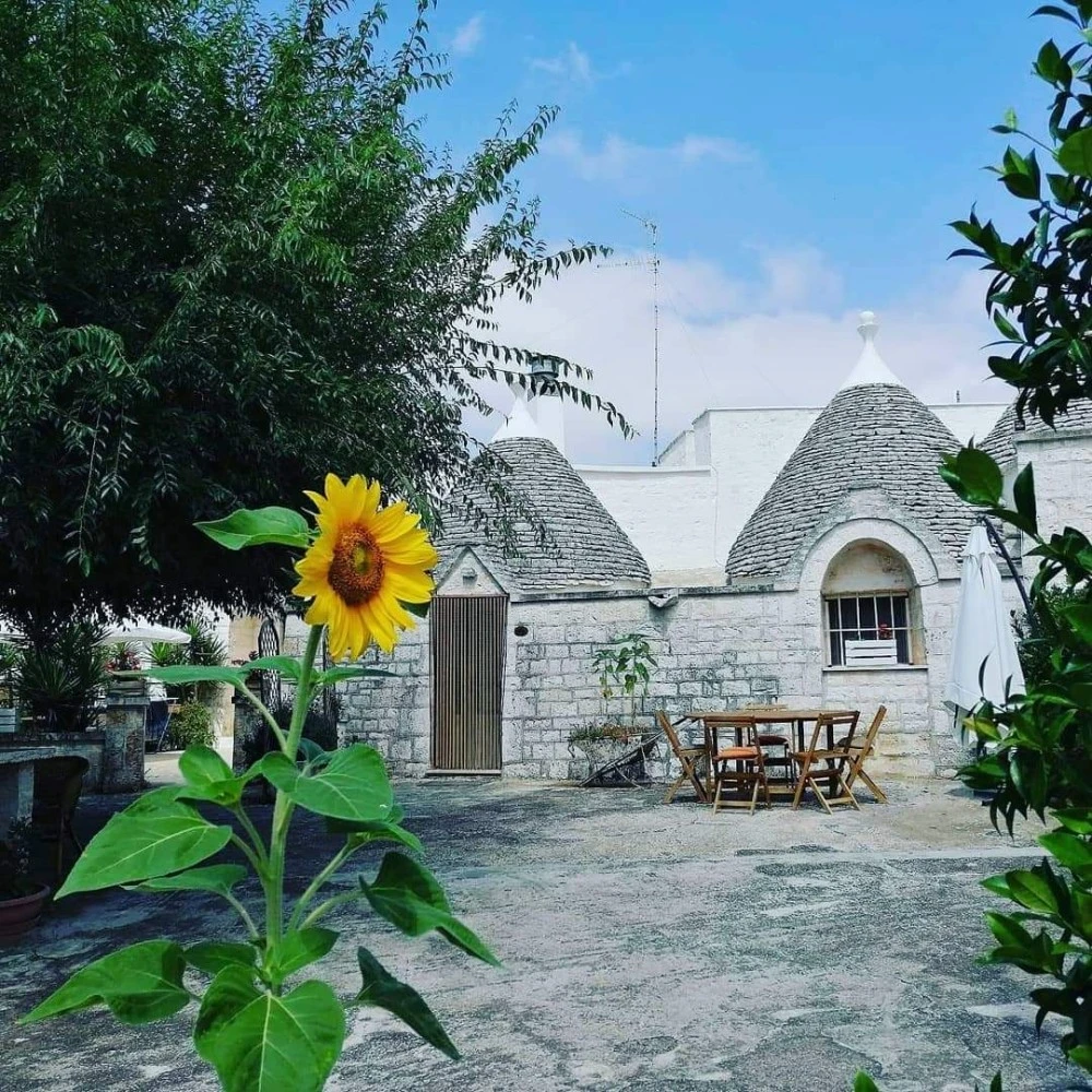 Trulli Di Rosa-2