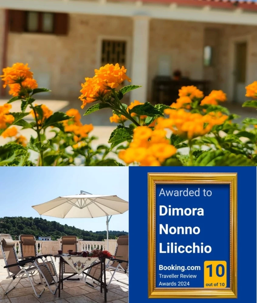 Dimora Nonno Lilicchio-1 