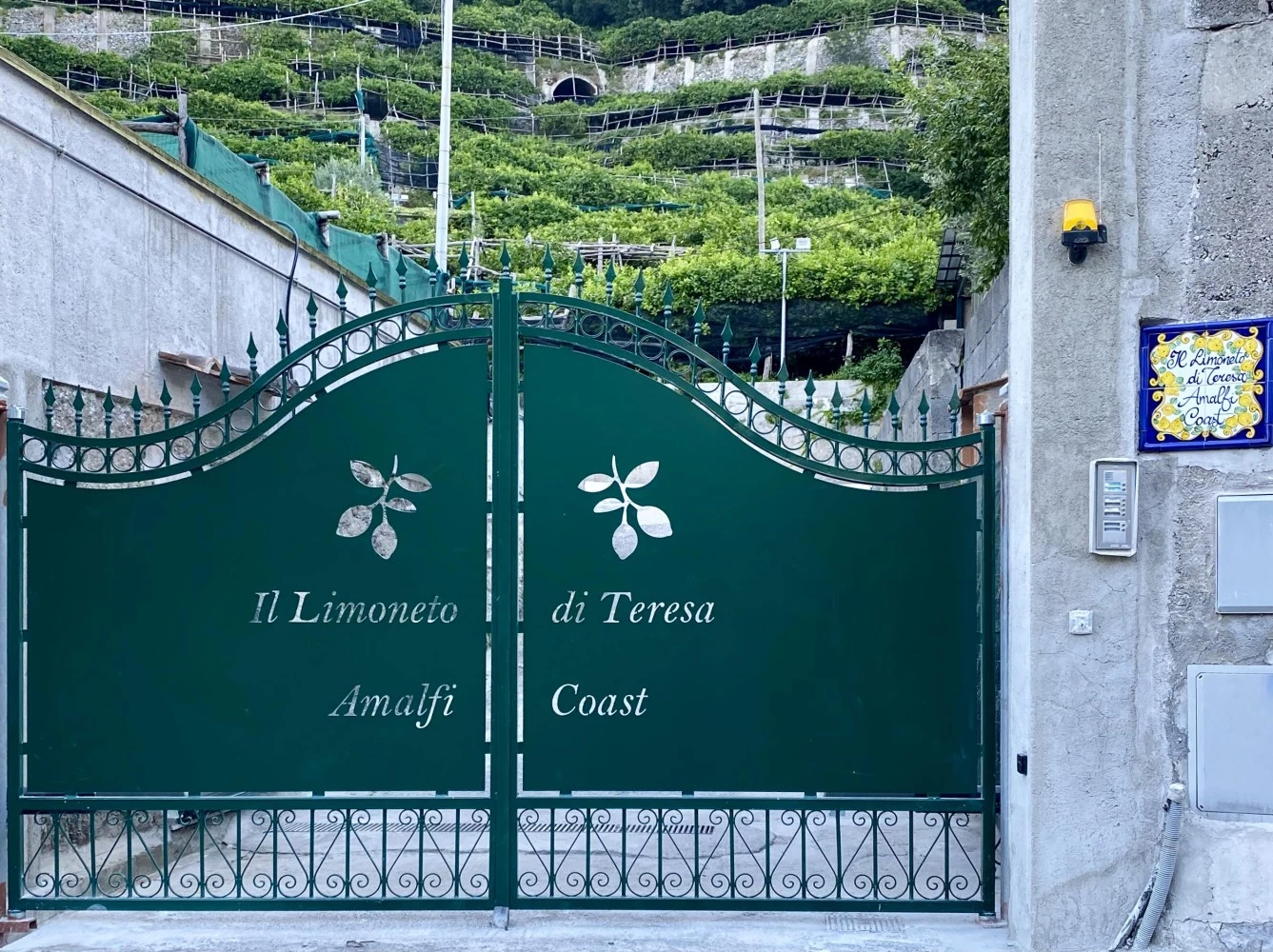 Il Limoneto Di Teresa Amalfi Coast-1
