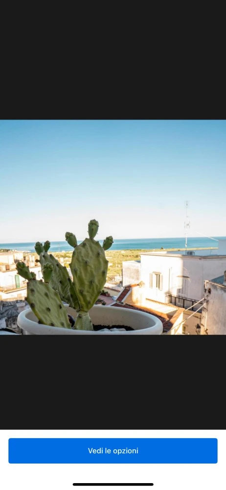 Casa Junno-3