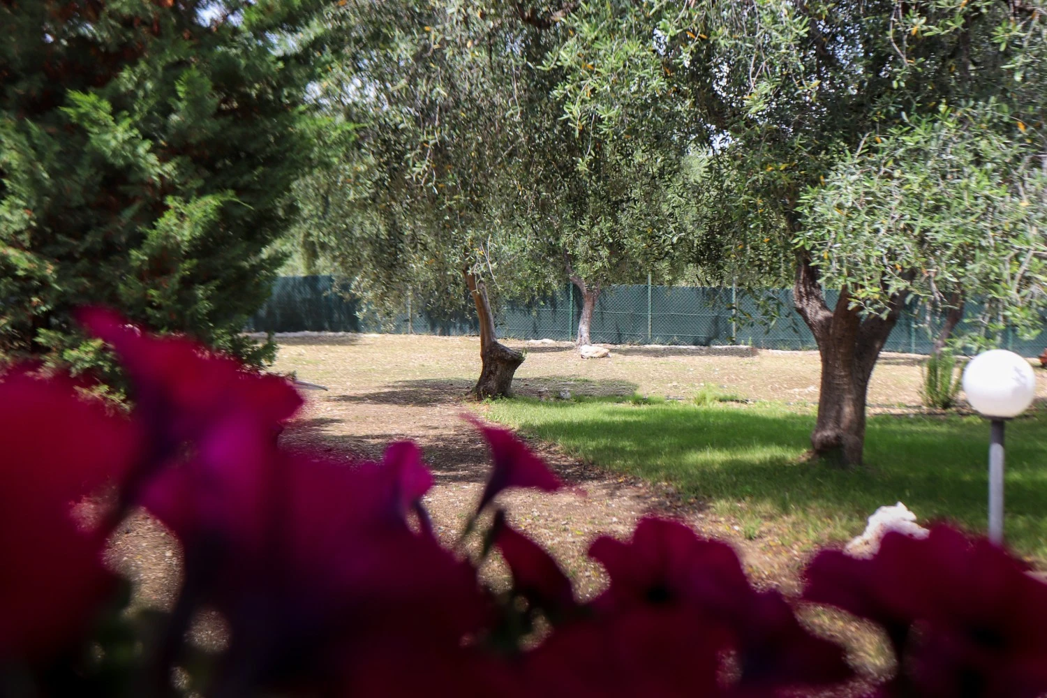 Villa Pasitea - Gargano Escape-2